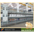 poultry farming chicken cage system